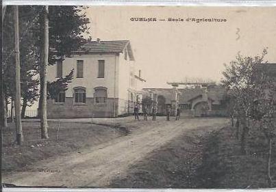 guelma ecole agriculture