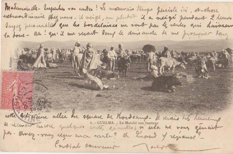 CPA ALGERIE GUELMA Le Marché aux Bestiaux Animation 1906
