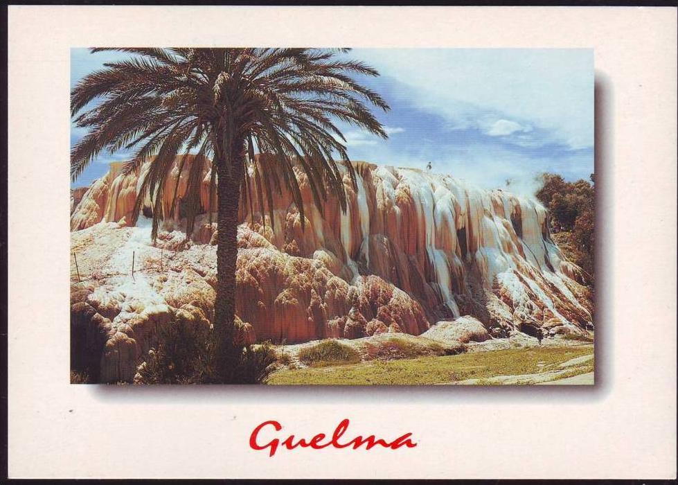 ALGERIE - ALGERIA - CP - Hammam  Maskhoutine - Neuve/Mint