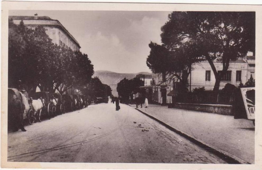 CSM  -     5.  GUELMA - Rue Sadi-Carnot