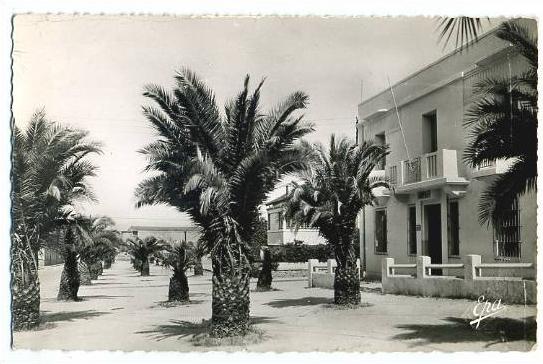 Algérie. Souvenir de Guelma. Rue Zama