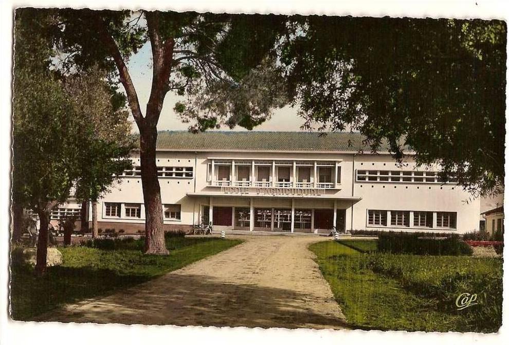GUELMA L'école d'Agriculture (J. Magliulo, arch. DPLG) (1956)