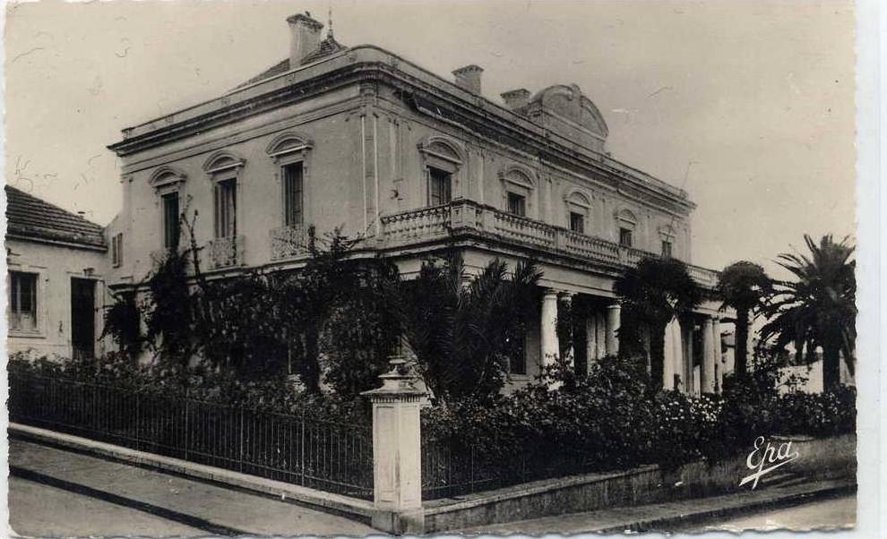 ALGERIE  GUELMA  sous-prefecture  9x14 dentelée , glaçée