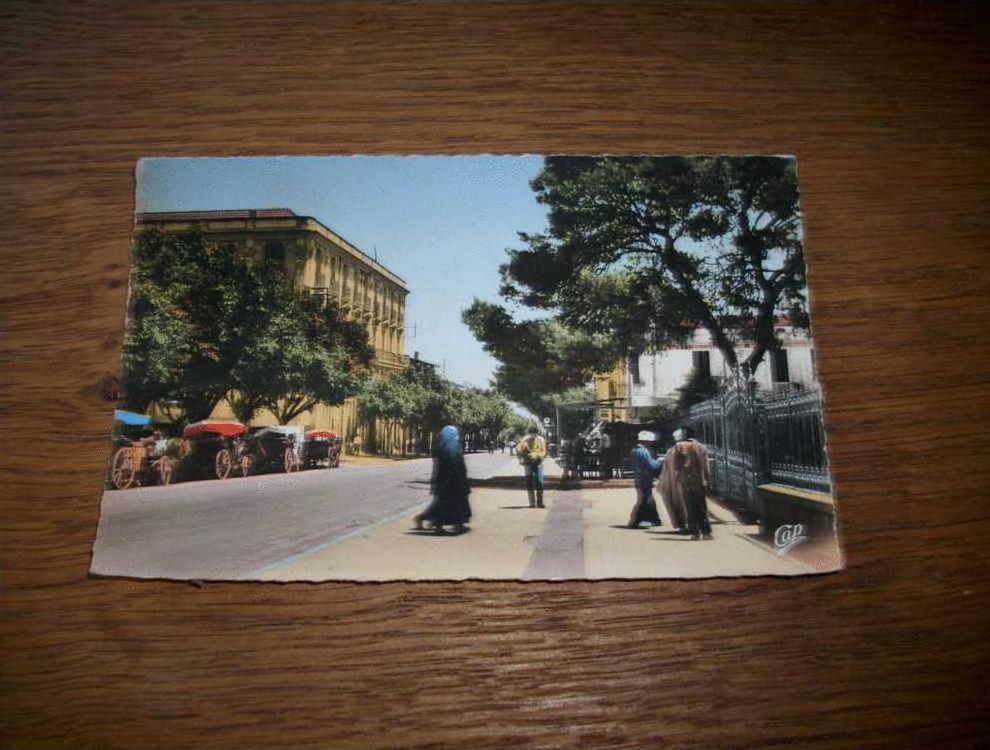 guelma l'avenue sadi carnot