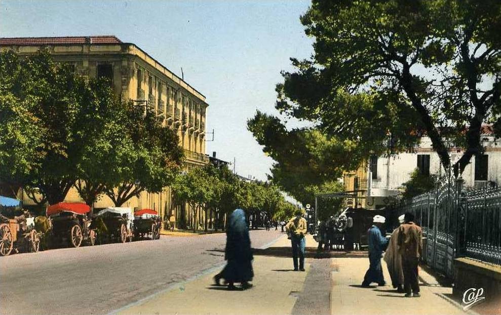 ALGERIE - GUELMA - AV SADI CARNOT