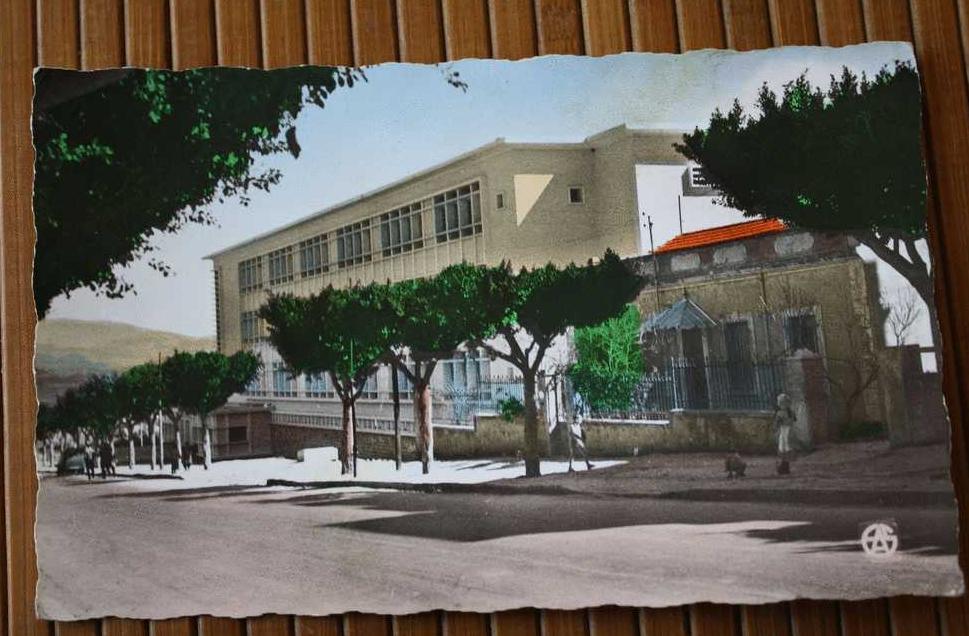 CPSM de GUELMA constantinois EX COLONIE FRANCAISE ALGERIE école ANATOLE FRANCE