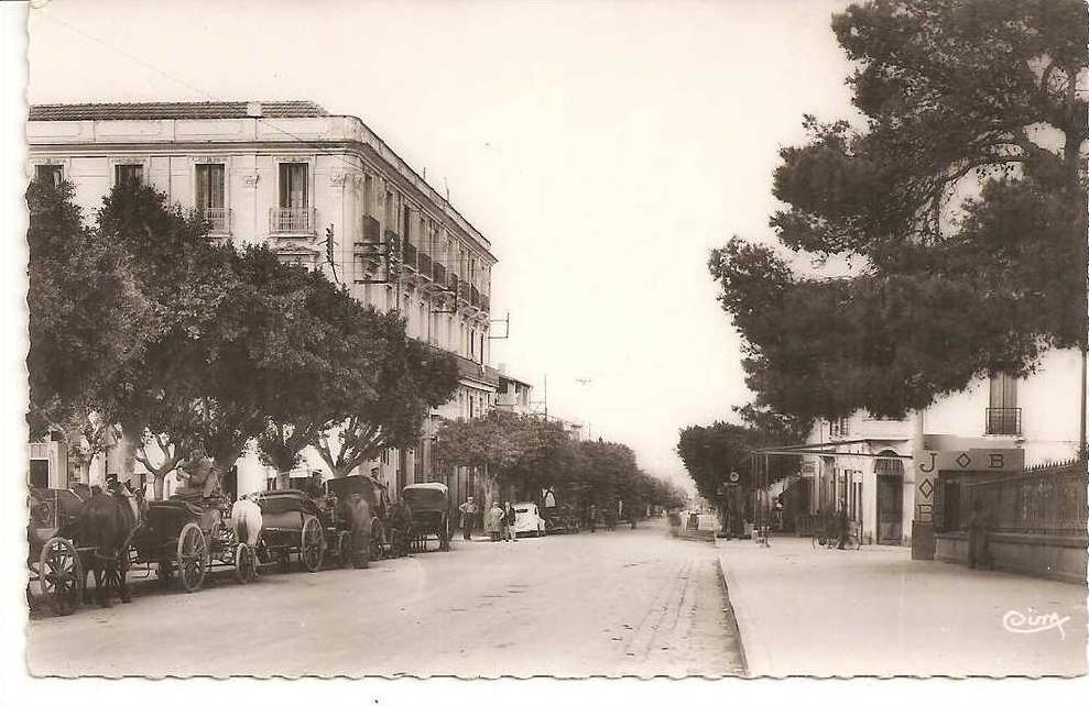 algérie  GUELMA     rue  sadi  carnot