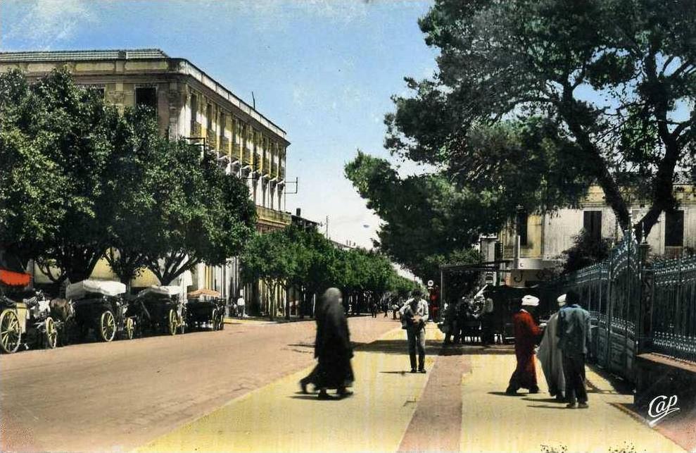 CPSM PETIT FORMAT DENTELE GUELMA AVENUE SADI CARNOT    ANIMEE  VOIR SCANER