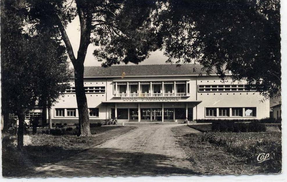 ALGERIE GUELMA Ecole d' Agriculture . 9x14 dentelée glaçée , écrite 1956 non timbrée