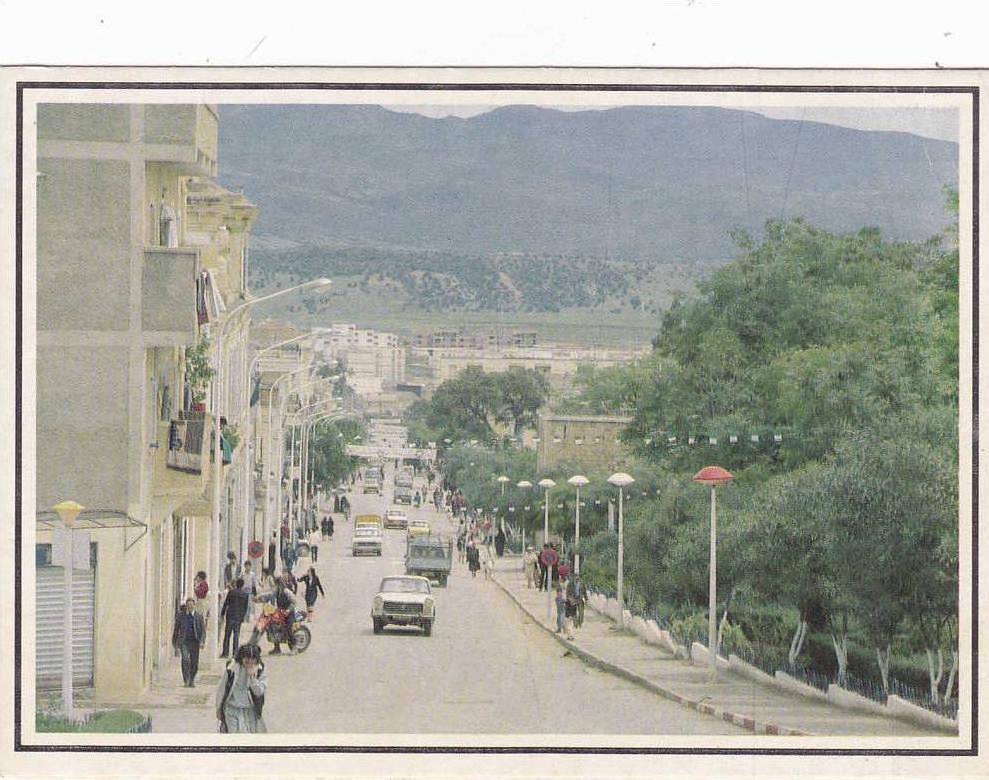 GUELMA   VUE GENERALE