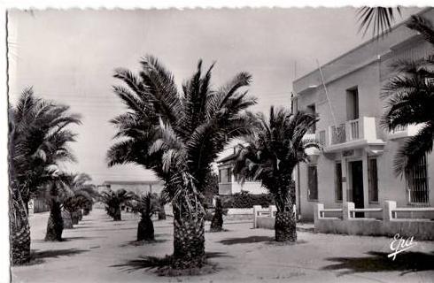 Guelma - Rue Zama   Achat Immédiat