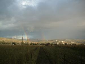 Paysage du coté de Baghlia, Boumerdès