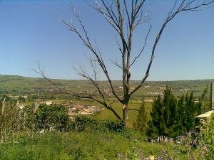 Vue sur Sidi Daoud, Boumerdès