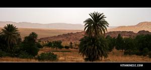 Paysage près de Chellala Dahrania