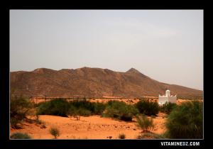 Marabout à l'entrée de Arbaout El Fougani