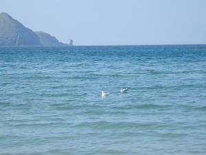 Deuxième plage de Bouzedjar