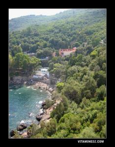 La plage des aiguades