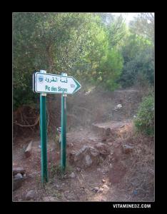 Plaque signalitique   Pic des singes