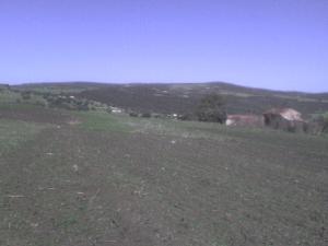 الأرضي الفلاحية لغائلة حربي المنطقة المسماة لحمامص رمضان جمال