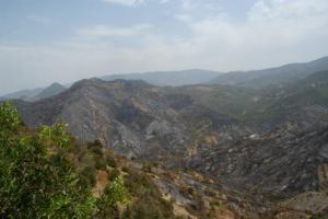 Lamarcha : massif forestier brûlé