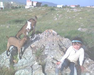 payesage de s/merouane