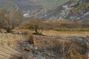 Lamarcha : incendie juillet 2009