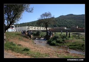 Printemps 2009 à Ain Fezza, le ciel a été généreux cette année là.