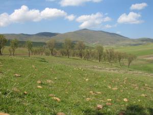 nature derrag  '' lerouneux''