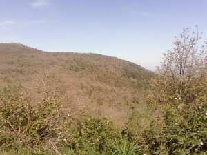 hamala la foret de bounaaja غلبة بونعجة ببلدبة حمالة