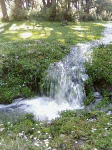 HAMALA 2009  cours d'eau  a  el marja