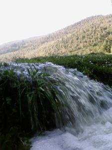 HAMALA 2009  cours d'eau  a  el marja  2