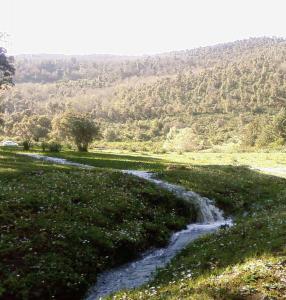 HAMALA 2009  cours d'eau  a  el marja  3