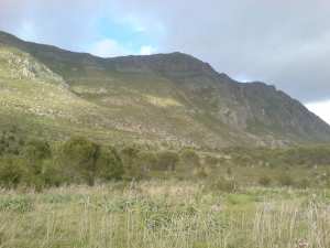 hamala 2009 Le pied de la montagne mssid aicha