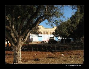 Coopérative de Sainte Léonie (1832) à El Mohgoun