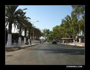 El Mohgoun ex Sainte Léonie