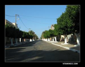 El Mohgoun ex Sainte Léonie