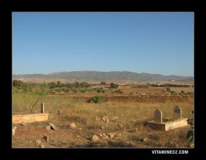 Cimetière musulman à El Mohgoun à 5km d'Arzew