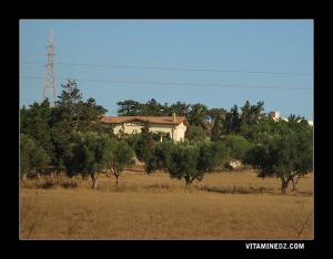 Villa coloniale aux alentours de Hassi Mefsoukh (Ex Renan)