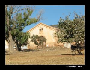 Ferme coloniale à El Guessiba entre Arzew et Sidi Ben Yebka