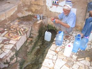 1er source de de la foret de Ras el Ain Gdyel