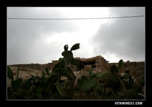 Village de Aghmiran Msirda El Fouaga