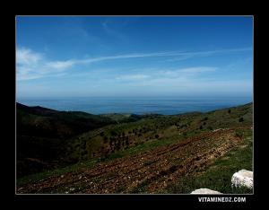 El Bkhata, M'sirda Thata