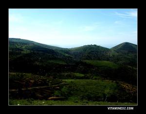 El Bkhata, M'sirda Thata