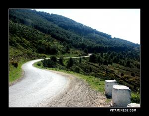 El Bkhata, M'sirda Thata