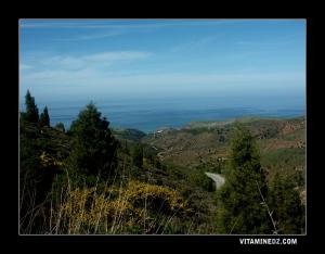 El Bkhata de Chatt, M'sirda Thata