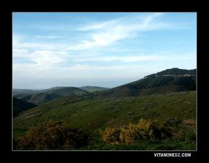 La région de Beider, Msirda Fouaka