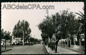 El-Harrouche  ma ville natale.