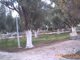 Jardin Emir Abdelkader AIN-AZEL