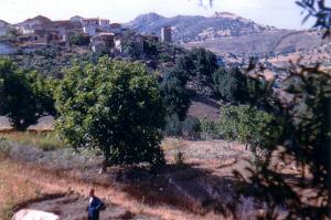 Dans le village de Tifrit, Akbou, Béjaia