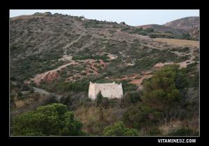 Marabout sur la route de Agla (Honaine)